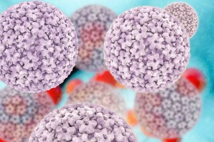 淋病早期癥狀有哪些 生活中如何預(yù)防淋病的發(fā)生