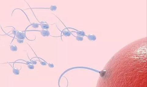 精子不液化是什么原因造成的 精子不液化還能懷孕嗎 精子不液化是什么原因造成的 精子不液化還能懷孕嗎