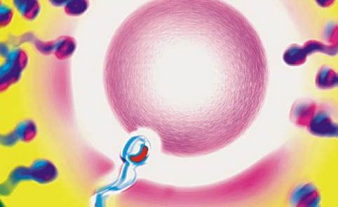 準(zhǔn)媽媽怎么預(yù)防宮外孕 預(yù)防宮外孕的方法