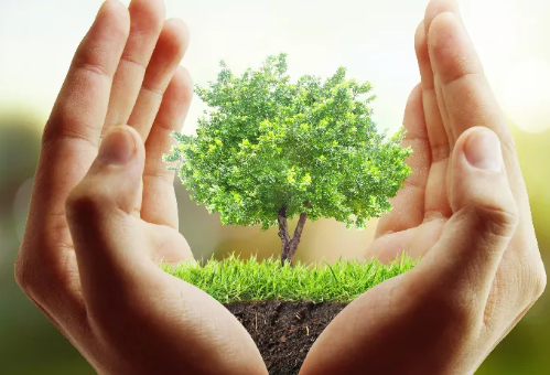 世界勤儉日演講稿 世界勤儉日國旗下講話