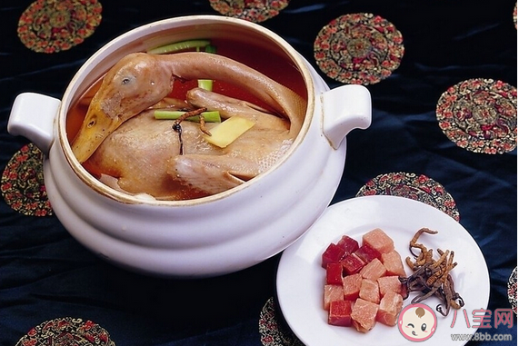 立冬了養生吃什么好 立冬養生食譜推薦