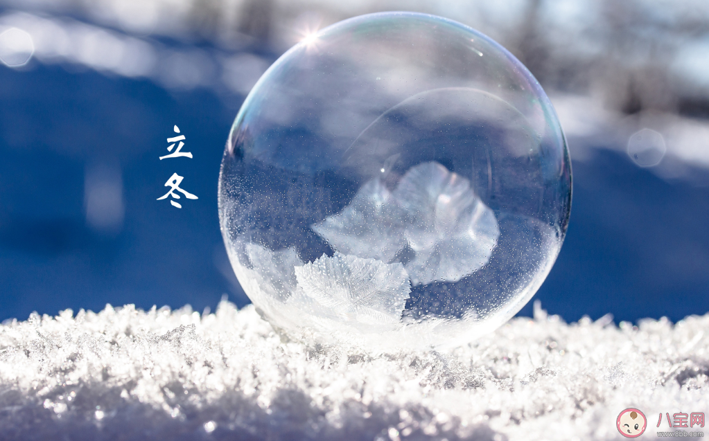 立冬手抄報文字內容素材大全 立冬手抄報文案內容 立冬手抄報文字內容素材大全 立冬手抄報文案內容