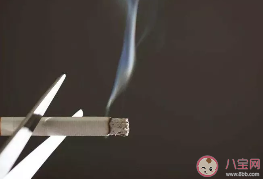 男人也有易孕體質(zhì)嗎 男性易孕體質(zhì)的表現(xiàn)