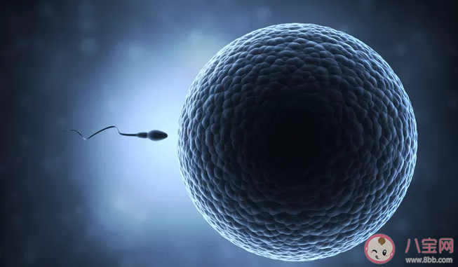 導致弱精癥的因素有什么 弱精癥的危害 導致弱精癥的因素有什么 弱精癥的危害