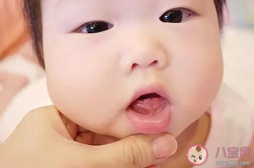 立冬節氣給寶寶吃什么好 立冬給寶寶進步的方法有哪些 立冬節氣給寶寶吃什么好 立冬給寶寶進步的方法有哪些