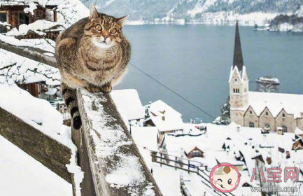 國內適合冬天去旅行的城市 2019國內冬天旅游去哪好 國內適合冬天去旅行的城市 2019國內冬天旅游去哪好