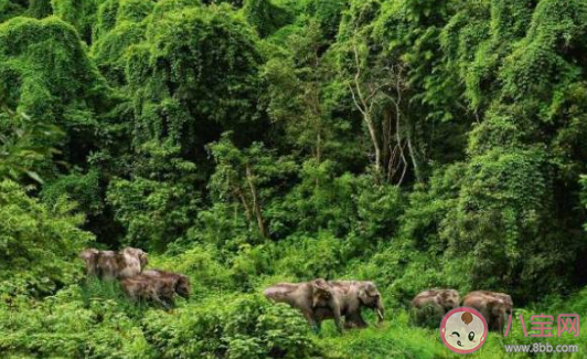 國內適合冬天去旅行的城市 2019國內冬天旅游去哪好 國內適合冬天去旅行的城市 2019國內冬天旅游去哪好