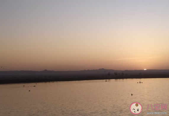 出太陽了適合發朋友圈心情說說 出太陽了心情好句子