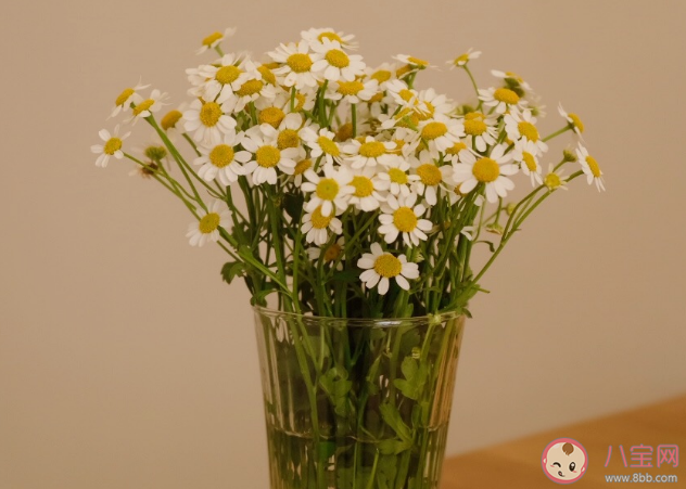 冬天曬太陽心情說說句子 冬天曬太陽朋友圈短句