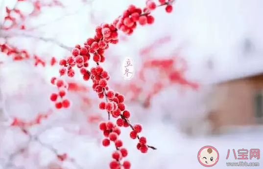 冬至為什么要吃餃子 為啥北方一過節就吃餃子 冬至為什么要吃餃子 為啥北方一過節就吃餃子