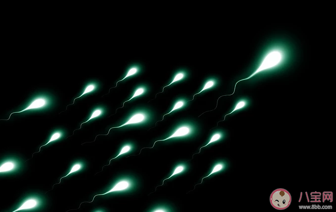 男性一次射出精液是越多越好嗎 男性一次射精量多少才是正常 男性一次射出精液是越多越好嗎 男性一次射精量多少才是正常