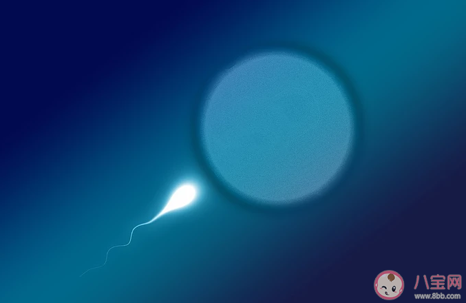 男性一次射出精液是越多越好嗎 男性一次射精量多少才是正常 男性一次射出精液是越多越好嗎 男性一次射精量多少才是正常