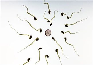 男性一次射出精液是越多越好嗎 男性一次射精量多少才是正常