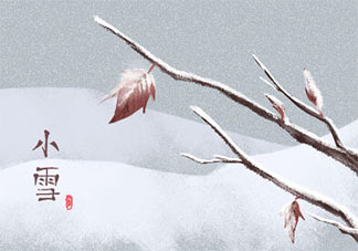 2019小雪節氣好看漂亮的手抄報大全 小雪節氣手抄報模板圖片