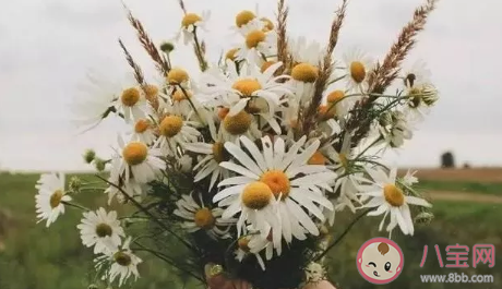 一夜之間變冷的微信文案句子 形容一夜之間變得特別冷的說說文案