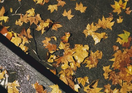 一秒入冬的搞笑說說加圖片 一秒入冬的搞笑句子 一秒入冬的搞笑說說加圖片 一秒入冬的搞笑句子