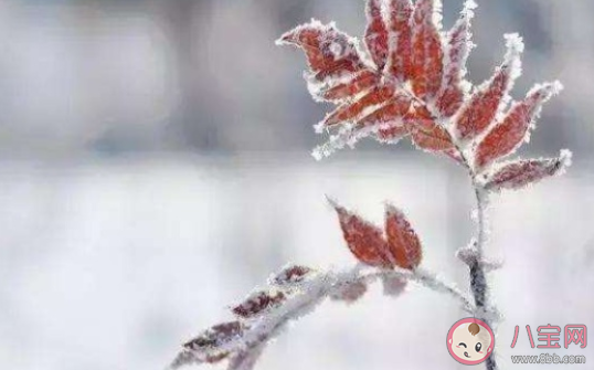 一秒入冬的詩句有哪些 一夜入冬的古詩詞大全 一秒入冬的詩句有哪些 一夜入冬的古詩詞大全