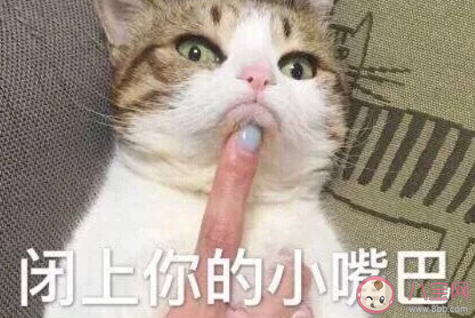 面對杠精怎么應對 如何優雅的回懟杠精