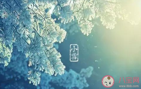 關于小雪節(jié)氣的古詩有哪些 小雪節(jié)氣古詩大全
