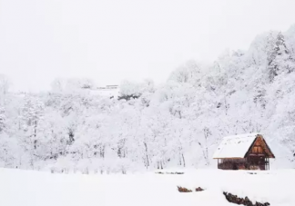 小雪手抄報內容大全 小雪手抄報內容古詩