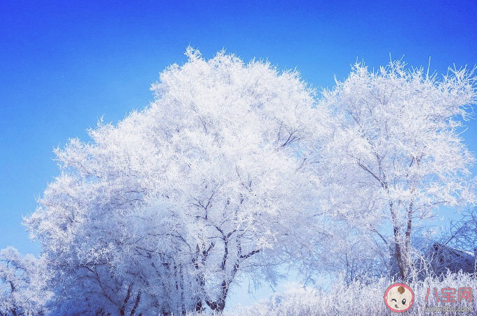 冬天看霧凇朋友圈怎么發 看霧凇景觀的朋友圈說說