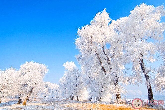 冬天看霧凇朋友圈怎么發 看霧凇景觀的朋友圈說說
