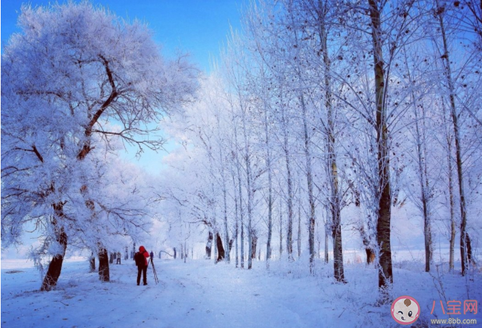 冬天看霧凇朋友圈怎么發 看霧凇景觀的朋友圈說說