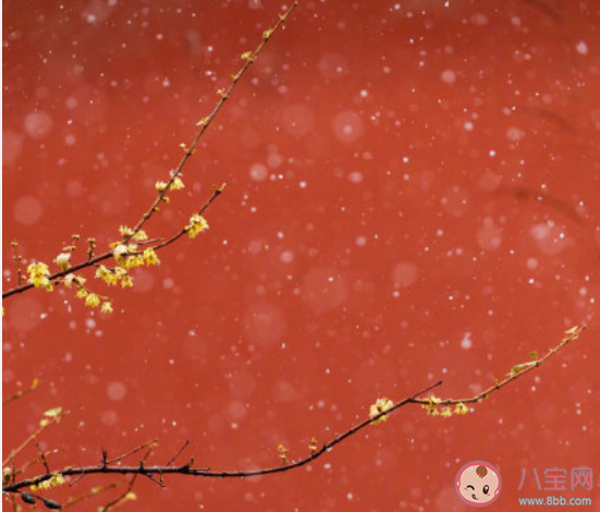 北京故宮雪景心情文案句子 關于北京雪景的朋友圈圖片說說