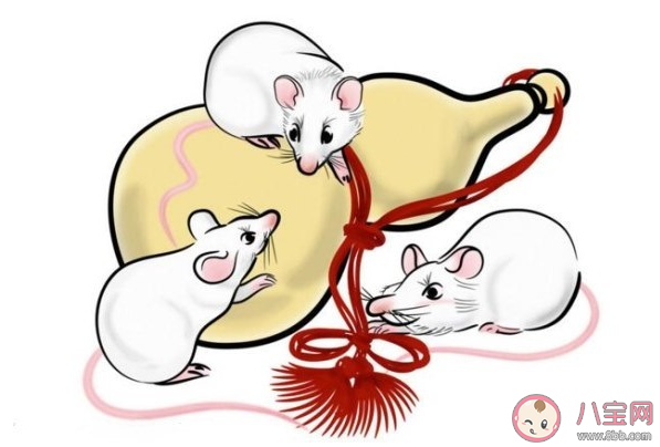 2020鼠年出生的男寶寶如何起名 2020鼠年男寶寶好聽大氣的名字大全