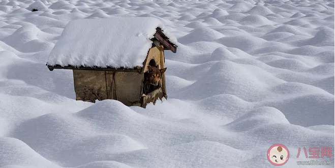 下雪了怎么發朋友圈 下雪天發朋友圈的句子