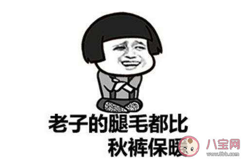 腿毛先生是什么意思 腿毛先生梗的出處是什么 腿毛先生是什么意思 腿毛先生梗的出處是什么