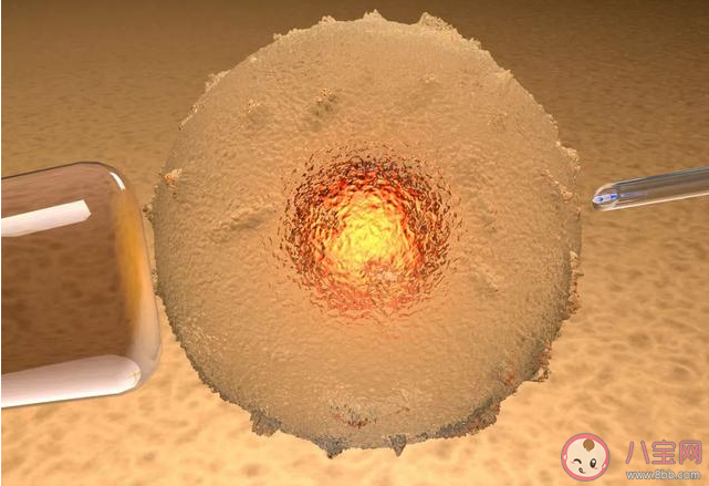 女性凍卵過程是怎樣的 什么年齡凍卵合適