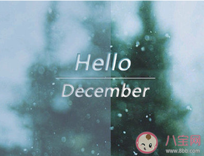 十一月再見12月你好唯美短句 2019十一月再見十二月你好文案句子 十一月再見12月你好唯美短句 2019十一月再見十二月你好文案句子