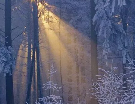 冬天你好的朋友圈說說 冬天你好的心情句子