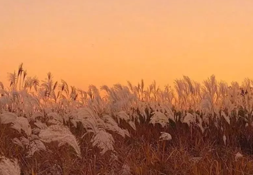2019冬天傷感的心情說說 冬天傷感的唯美句子 2019冬天傷感的心情說說 冬天傷感的唯美句子