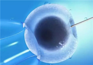 女性凍卵過程是怎樣的 什么年齡凍卵合適