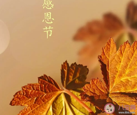 今天是感恩節發的朋友圈祝福語 感恩節走心溫暖說說 今天是感恩節發的朋友圈祝福語 感恩節走心溫暖說說