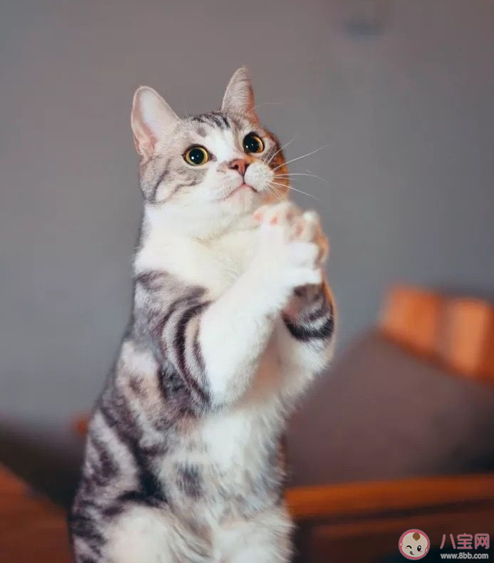 長期熬夜的危害有多大 長期熬夜會對身體有什么影響 長期熬夜的危害有多大 長期熬夜會對身體有什么影響