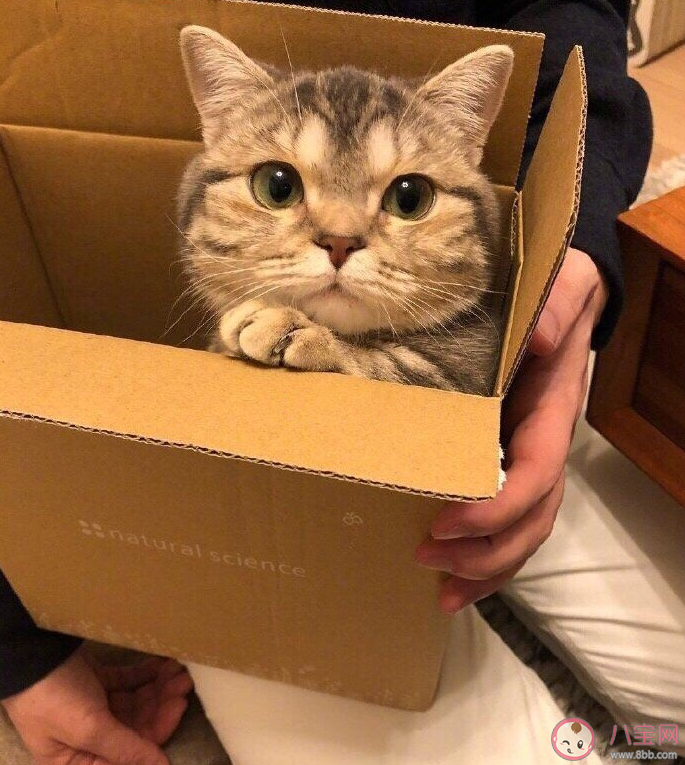 長期熬夜的危害有多大 長期熬夜會對身體有什么影響 長期熬夜的危害有多大 長期熬夜會對身體有什么影響