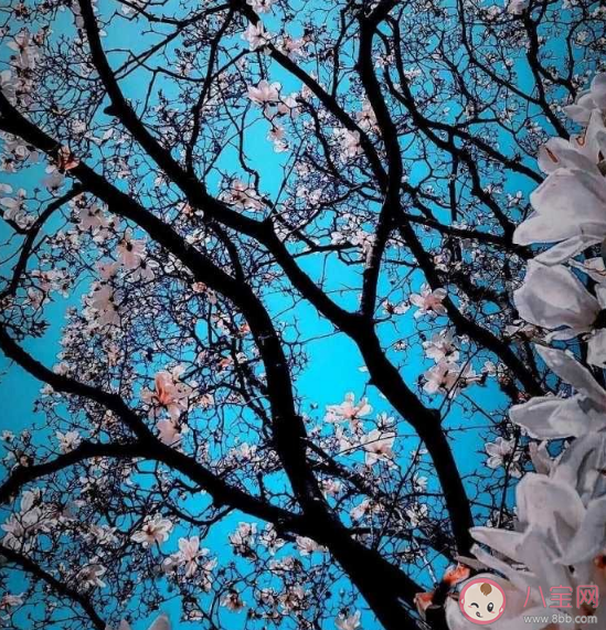 長期熬夜的危害有多大 長期熬夜會對身體有什么影響 長期熬夜的危害有多大 長期熬夜會對身體有什么影響