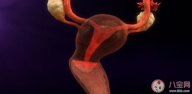 子宮后位是怎么引起的 子宮后位如何增加受孕機會 子宮后位是怎么引起的 子宮后位如何增加受孕機會