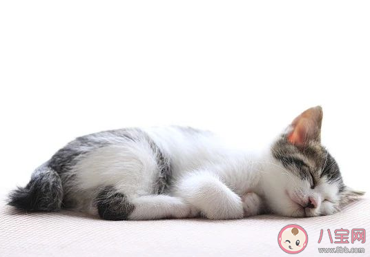 為什么越睡越困 越睡越困該怎么調節 為什么越睡越困 越睡越困該怎么調節