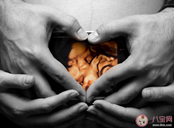 孕早期是致畸敏感期嗎 孕期有哪些致畸因素