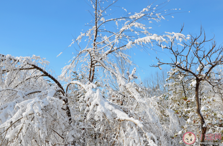 大雪節氣文案唯美短句 2019大雪節氣創意溫馨祝福語句子