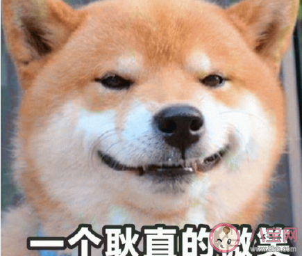 耿直和嘴欠有什么不同 耿直與嘴欠的區別