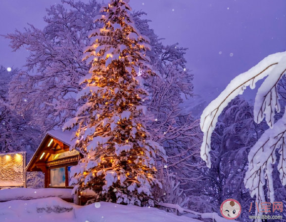 2019關于圣誕節發的朋友圈說說 圣誕節的心情感言說說