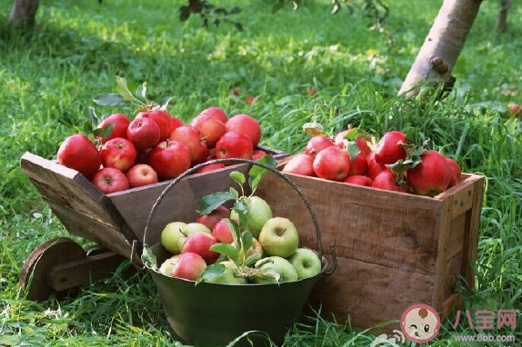 2019平安夜吃蘋果的心情說說 平安夜曬蘋果的微信句子