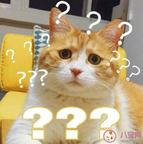 臉盲認(rèn)錯(cuò)人的尷尬經(jīng)歷是怎么樣 臉盲認(rèn)錯(cuò)人是什么樣的感受體驗(yàn) 臉盲認(rèn)錯(cuò)人的尷尬經(jīng)歷是怎么樣 臉盲認(rèn)錯(cuò)人是什么樣的感受體驗(yàn)