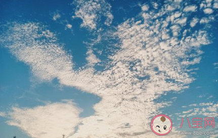 關于人心涼薄的說說句子 我本生性涼薄的心情感慨