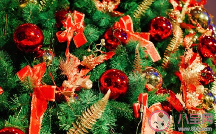 2019平安夜搞笑祝福語大全 關(guān)于平安夜的搞笑句子 2019平安夜搞笑祝福語大全 關(guān)于平安夜的搞笑句子